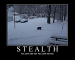 motivatestealth