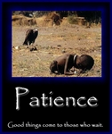 patience