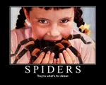 spiders