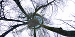 Wee planets-fd0000